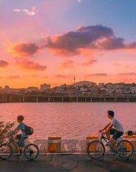91视频一区二区-91视频一区二区，网络内容消费的多元化与影响