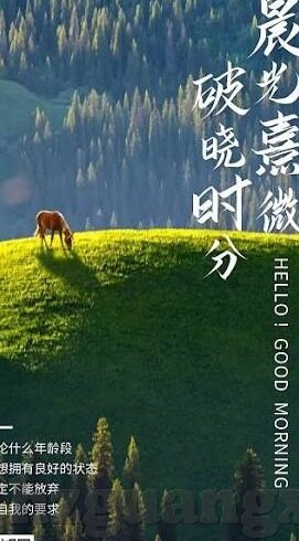 成人视频网站-成人视频网站，网络文化中的灰色地带与伦理考量