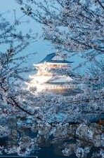 国产精品麻豆传媒-视角解析，国产精品麻豆传媒的文化价值与行业影响