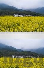 国产一区二区三区麻豆视频-莫让数字分区迷失网络内容本质