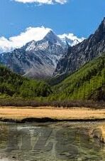 人妻欧美日韩-多元文化的魅力，人妻角色在欧美日韩文化中的独特呈现