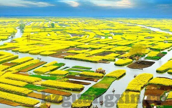 糖心视频app免费下载-畅享甜美时刻——体味糖心视频的免费视听盛宴